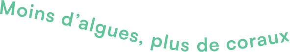 Moins d’algues, plus de coraux